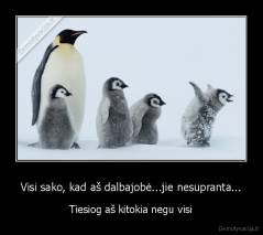 Visi sako, kad aš dalbajobė...jie nesupranta... - Tiesiog aš kitokia negu visi