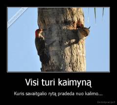 Visi turi kaimyną - Kuris savaitgalio rytą pradeda nuo kalimo...