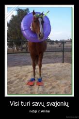 Visi turi savų svajonių - netgi ir Arkliai
