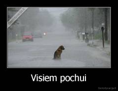 Visiem pochui - 