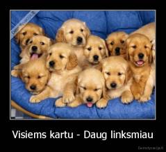 Visiems kartu - Daug linksmiau - 