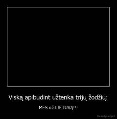 Viską apibudint užtenka trijų žodžių: - MES už LIETUVĄ!!!