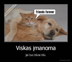 Viskas įmanoma - jei tuo tikrai tiki.