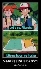 Viskas ką jums reikia žinoti - apie Pokemonus.