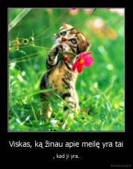 Viskas, ką žinau apie meilę yra tai - , kad ji yra.