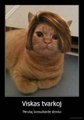 Viskas tvarkoj - Peruką konsultantė išrinko