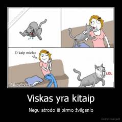 Viskas yra kitaip - Negu atrodo iš pirmo žvilgsnio