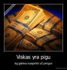 Viskas yra pigu - ką galima nusipirkti už pinigus