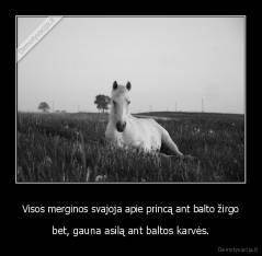 Visos merginos svajoja apie princą ant balto žirgo - bet, gauna asilą ant baltos karvės.