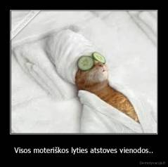 Visos moteriškos lyties atstoves vienodos.. - 