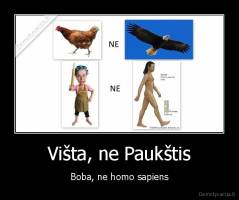 Višta, ne Paukštis - Boba, ne homo sapiens