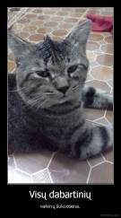 Visų dabartinių - vaikinų šukuosena.