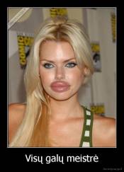 Visų galų meistrė - 