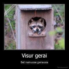 Visur gerai - Bet namuose geriausia