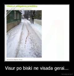 Visur po biski ne visada gerai... - 