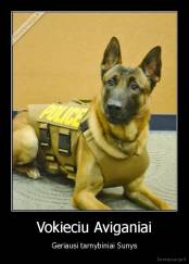 Vokieciu Aviganiai - Geriausi tarnybiniai Sunys