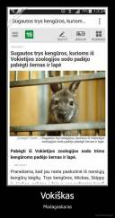 Vokiškas - Madagaskaras