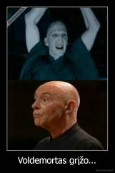 Voldemortas grįžo... - 