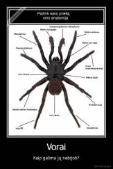 Vorai - Kaip galima jų nebijoti?