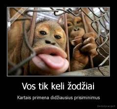 Vos tik keli žodžiai - Kartais primena didžiausius prisiminimus