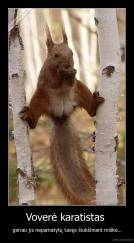 Voverė karatistas  - geriau jis nepamatytų tavęs šiukšlinant miške...