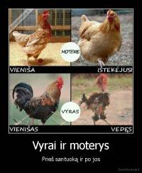 Vyrai ir moterys - Prieš santuoką ir po jos