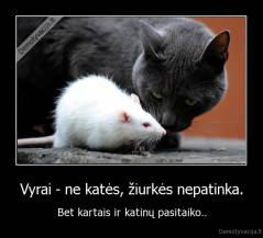 Vyrai - ne katės, žiurkės nepatinka. - Bet kartais ir katinų pasitaiko..