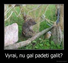 Vyrai, nu gal padeti galit? - 