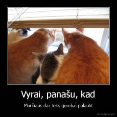 Vyrai, panašu, kad - Morčiaus dar teks gerokai palaukt