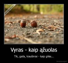 Vyras - kaip ąžuolas - Tik, gaila, kiaušiniai - kaip gilės...