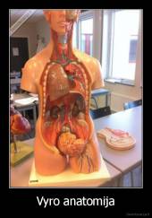 Vyro anatomija - 