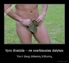 Vyro išvaizda – ne svarbiausias dalykas -  Yra ir daug didesnių trūkumų.