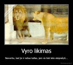 Vyro likimas - Nesvarbu, kad jis ir nebus kaltas, jam vis tiek teks atsiprašyti...