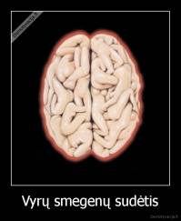 Vyrų smegenų sudėtis - 