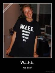 W.I.F.E. - Kas žino?