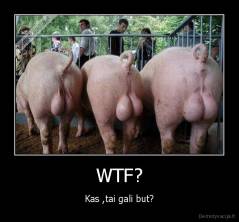 WTF? - Kas ,tai gali but?