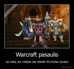 Warcraft pasaulis - tai vieta, kur renkasi dar nekalti 40-mečiai vyrukai
