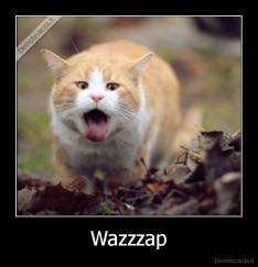 Wazzzap - 