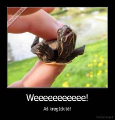 Weeeeeeeeeee! - Aš kregždutė!