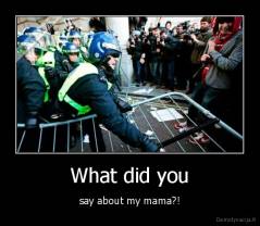 What did you - say about my mama?!