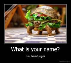 What is your name? - I'm  hamburger