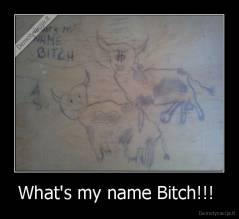 What's my name Bitch!!!  - 
