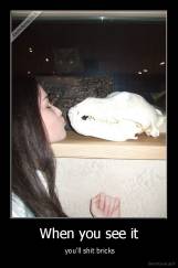 When you see it -  you'll shit bricks