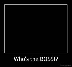 Who's the BOSS!? - 