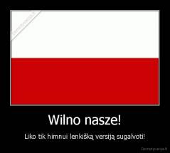 Wilno nasze! - Liko tik himnui lenkišką versiją sugalvoti!