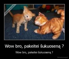 Wow bro, pakeitei šukuoseną ? - Wow bro, pakeitei šukuoseną ?