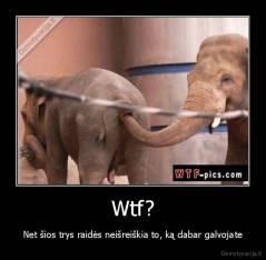 Wtf? - Net šios trys raidės neišreiškia to, ką dabar galvojate