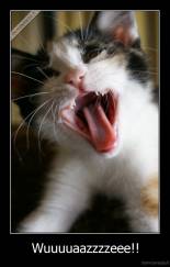 Wuuuuaazzzzeee!! - 