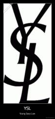 YSL - Young Sexy Lion