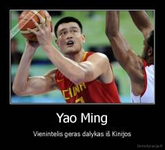 Yao Ming - Vienintelis geras dalykas iš Kinijos